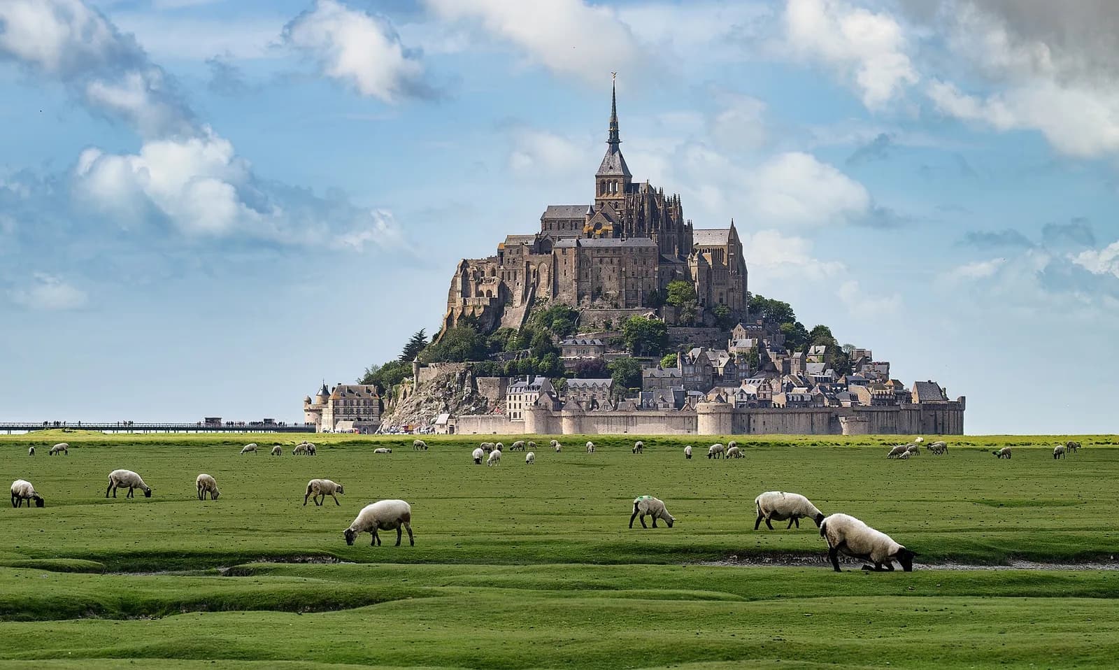 Mont Saint Michel rising above green fields with grazing sheep